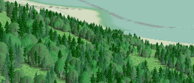 Prospect panorama view of a wooded hillside meeting a shoreline, showing the character of sub-compartments with random open space